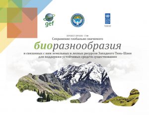 UNDP-GEF project